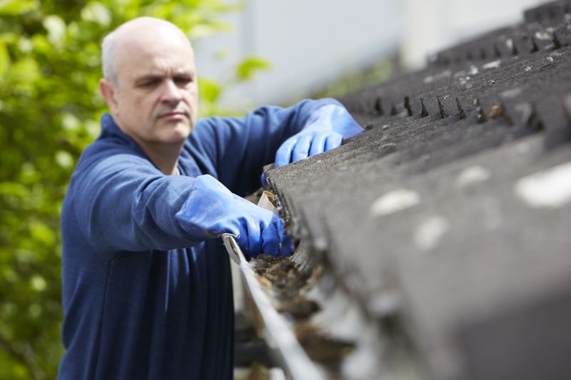Benefits of Professional Gutter Care